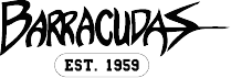 raffle logo